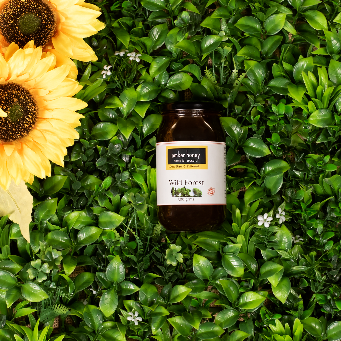 Wild Forest Honey – Raw & Pure Multiflora Honey