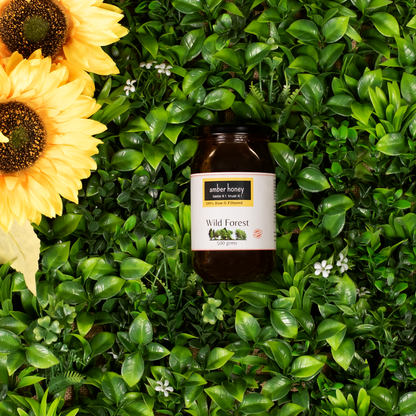Wild Forest Honey – Raw & Pure Multiflora Honey